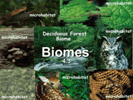 Biomes - Teacher Pages