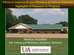 Efforts to Improve N Use Efficiency of Corn in Arkansas