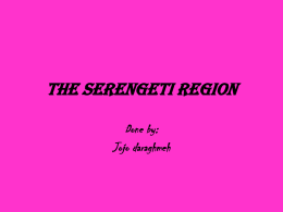 The Serengeti Region