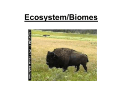 Ecosystem/Biomes - Uplift Community High School