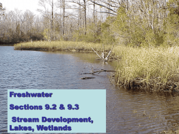 Surface Water PowerPoint2