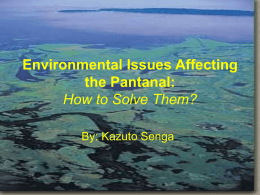 Environmental Issues Affecting the Pantanal: How to Solve It?