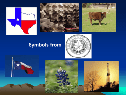 Texas Symbols - Ms. Wood`s Class