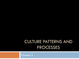 Culture Patterns and Processes