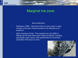 Marginal Ice zone