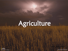 Agriculture - Buckeye Valley