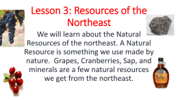 Lesson 3: Resources of the Northeast PPT