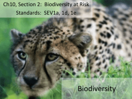 Biodiversity at Riskx