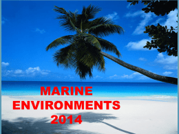 Marine Environment