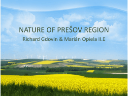 nature of pre*ov region