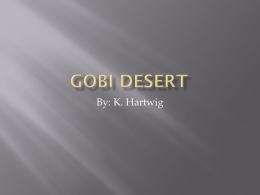Gobi Desert - pambrowncorninghighschool