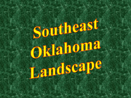 What is the natural vegetation in southeast
