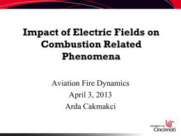 Electric Field Effect on Flame