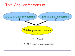 Total Angular Momentum