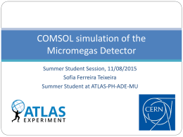 COMSOL simulation of the Micromegas Detector