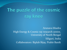 The Puzzle of the cosmic ray "knee"